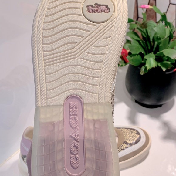 COACH SNEAKERS NWOT - Picture 4 of 4